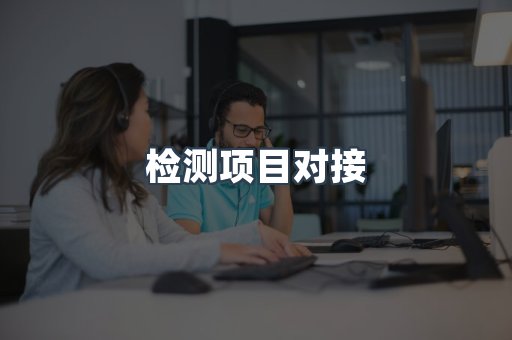 检测项目对接